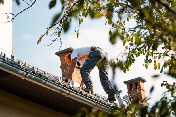 Best Flat Roof Repair Services  in Twin Lake, MI