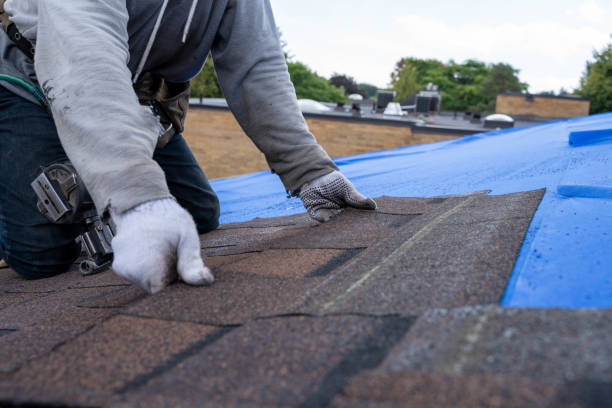 Best New Roof Installation  in Twin Lake, MI