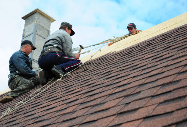 Best Roof Maintenance Services  in Twin Lake, MI